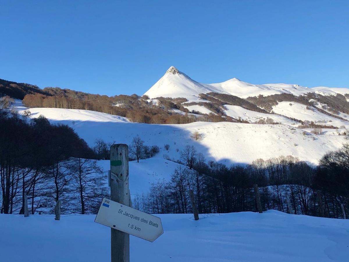 Hotel L'Escoundillou Saint-Jacques-des-Blats Esterno foto