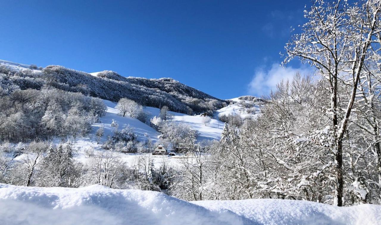 Hotel L'Escoundillou Saint-Jacques-des-Blats Esterno foto